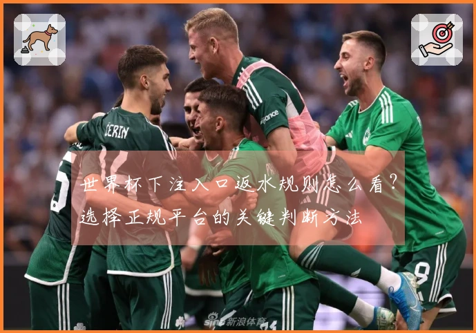 世界杯下注入口返水规则怎么看？选择正规平台的关键判断方法