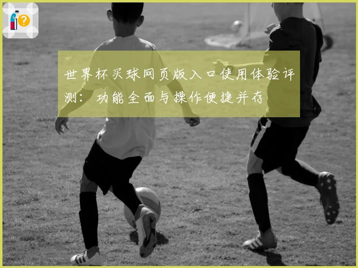 世界杯买球网页版入口使用体验评测：功能全面与操作便捷并存