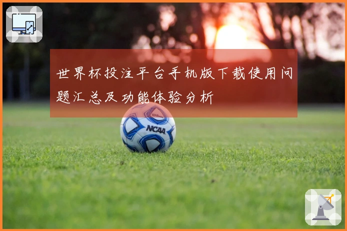 世界杯投注平台手机版下载使用问题汇总及功能体验分析