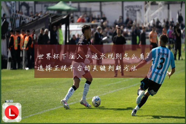 世界杯下注入口返水规则怎么看？选择正规平台的关键判断方法