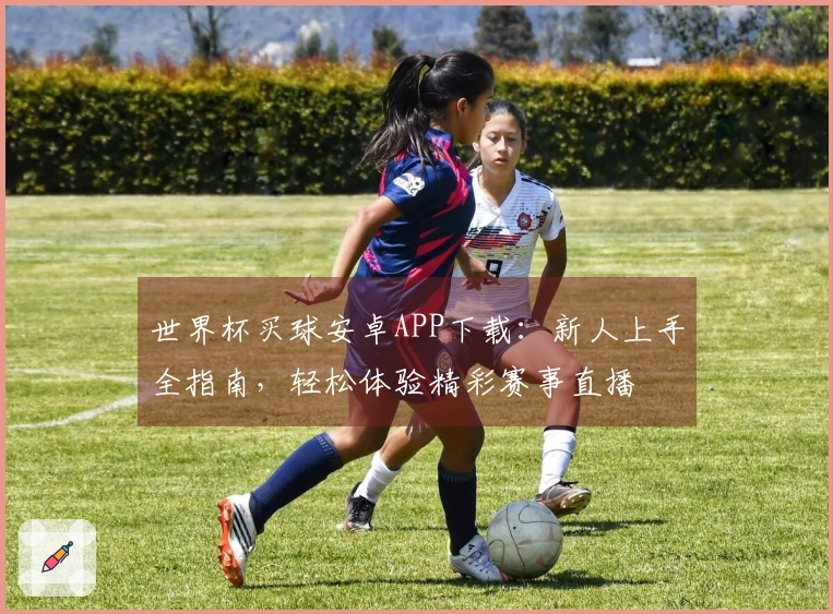 世界杯买球安卓APP下载：新人上手全指南，轻松体验精彩赛事直播