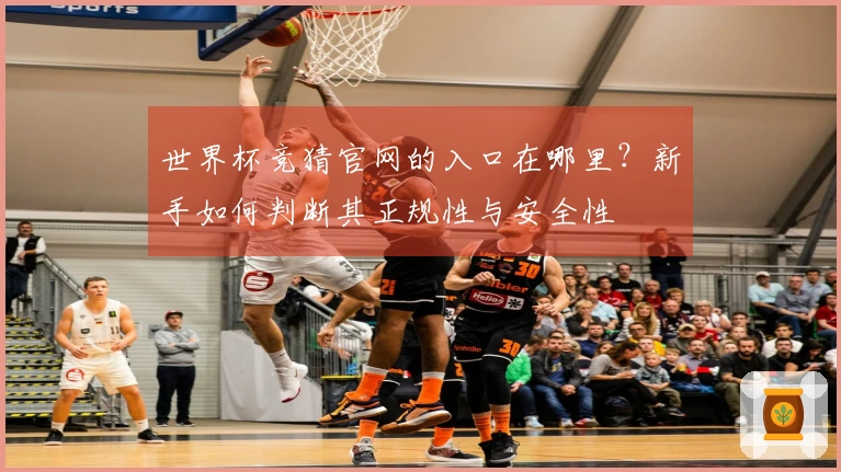 世界杯竞猜官网的入口在哪里？新手如何判断其正规性与安全性