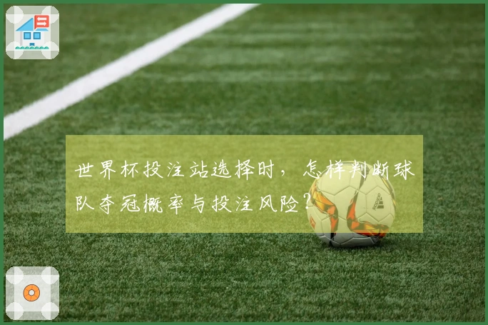 世界杯投注站选择时，怎样判断球队夺冠概率与投注风险？
