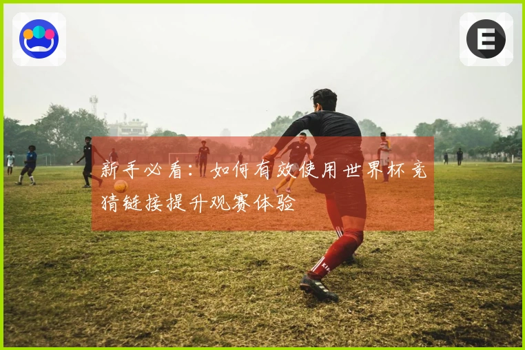 新手必看：如何有效使用世界杯竞猜链接提升观赛体验
