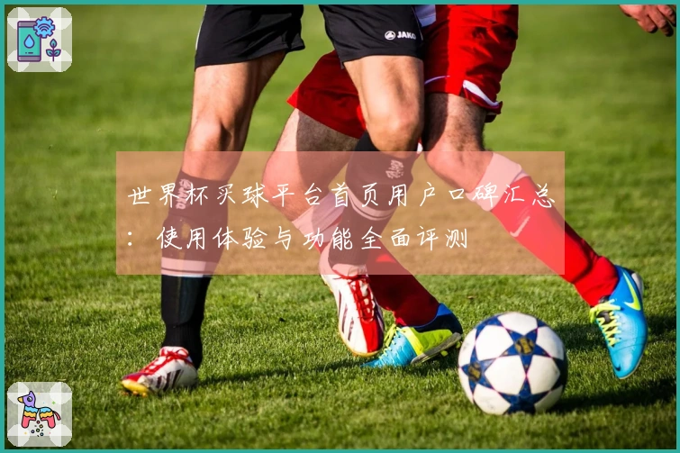 世界杯买球平台首页用户口碑汇总:使用体验与功能全面评测