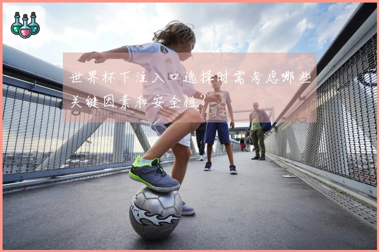 世界杯下注入口选择时需考虑哪些关键因素和安全性？